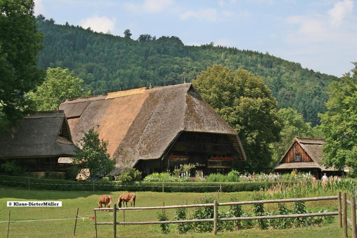 Haus am Waldrand Villa Triberg im Schwarzwald Exteriör bild
