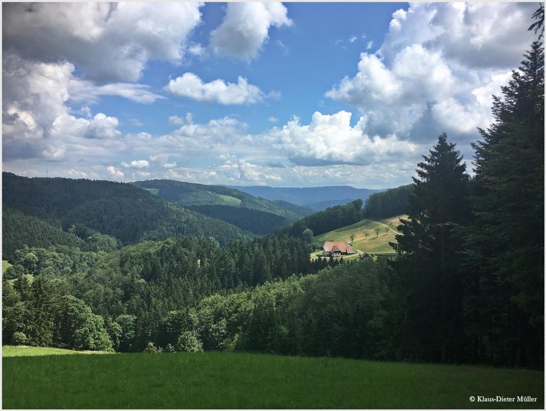 Haus am Waldrand Villa Triberg im Schwarzwald Exteriör bild