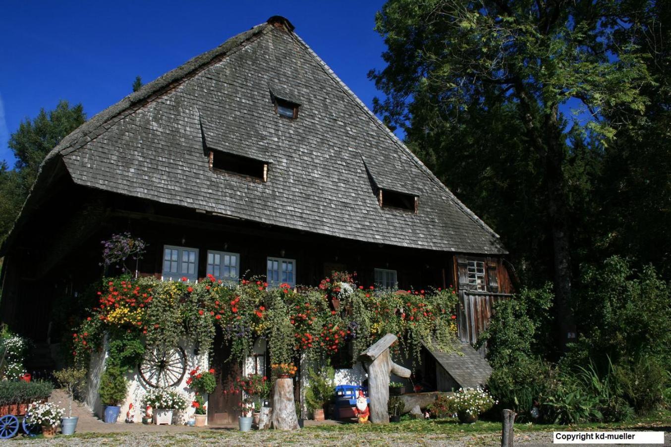 Haus am Waldrand Villa Triberg im Schwarzwald Exteriör bild