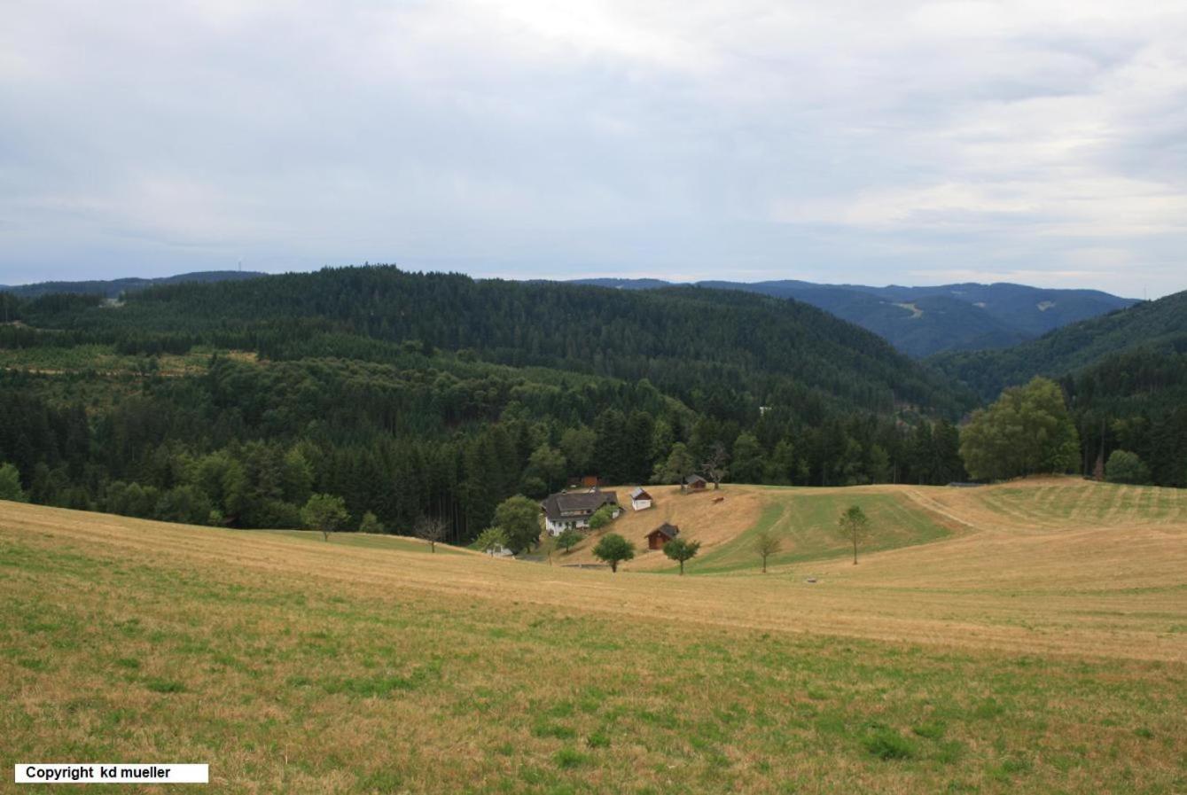 Haus am Waldrand Villa Triberg im Schwarzwald Exteriör bild