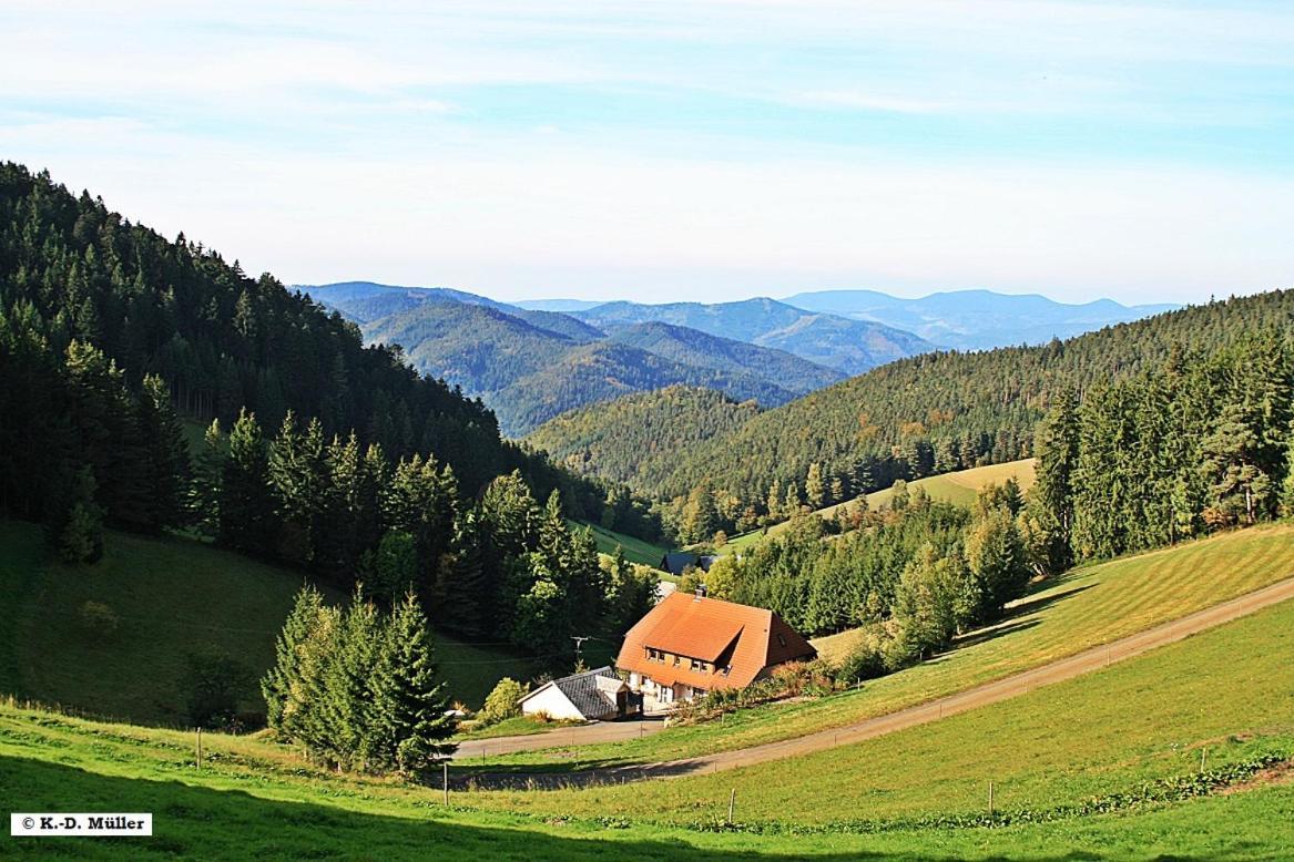 Haus am Waldrand Villa Triberg im Schwarzwald Exteriör bild