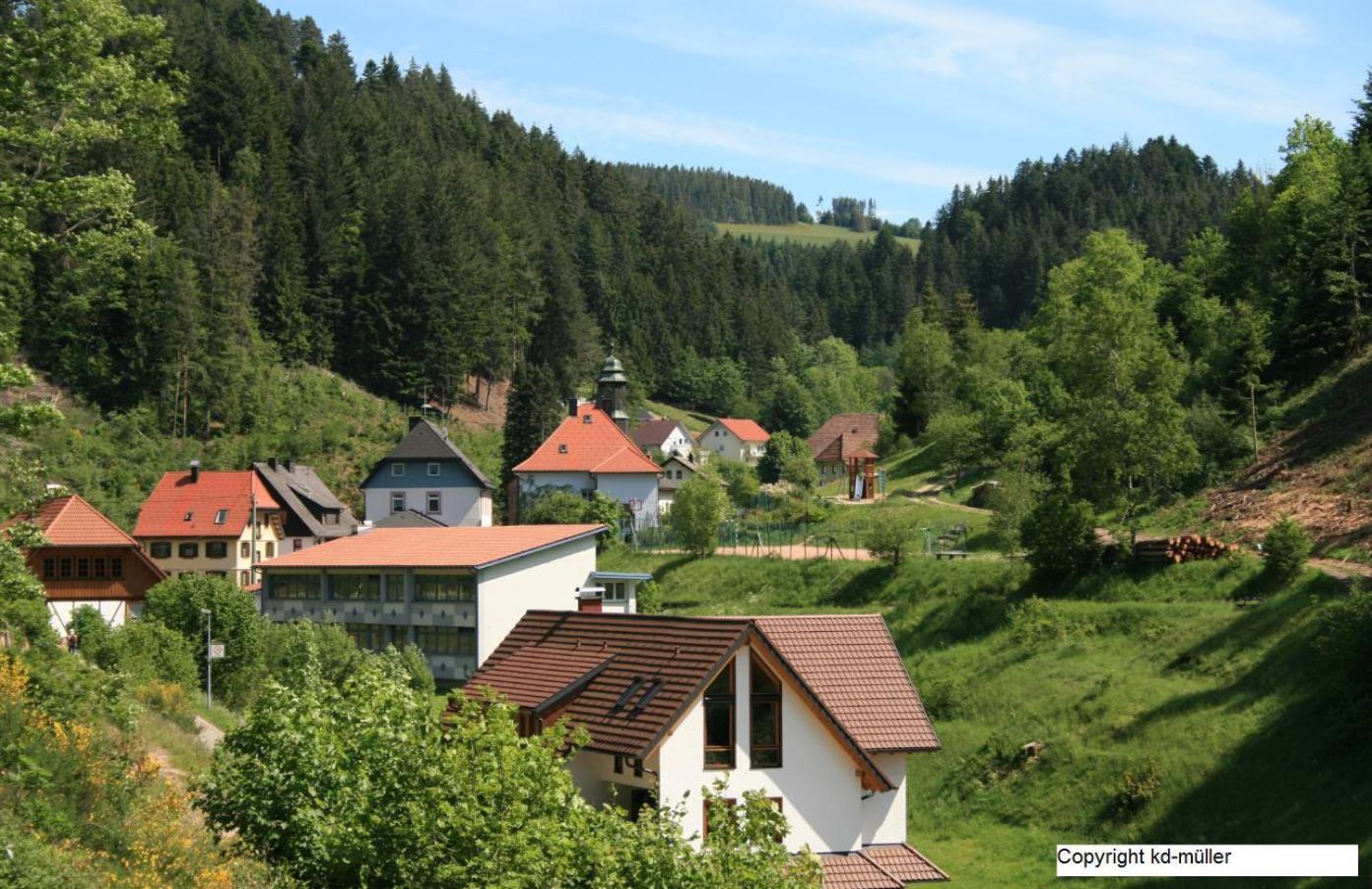 Haus am Waldrand Villa Triberg im Schwarzwald Exteriör bild