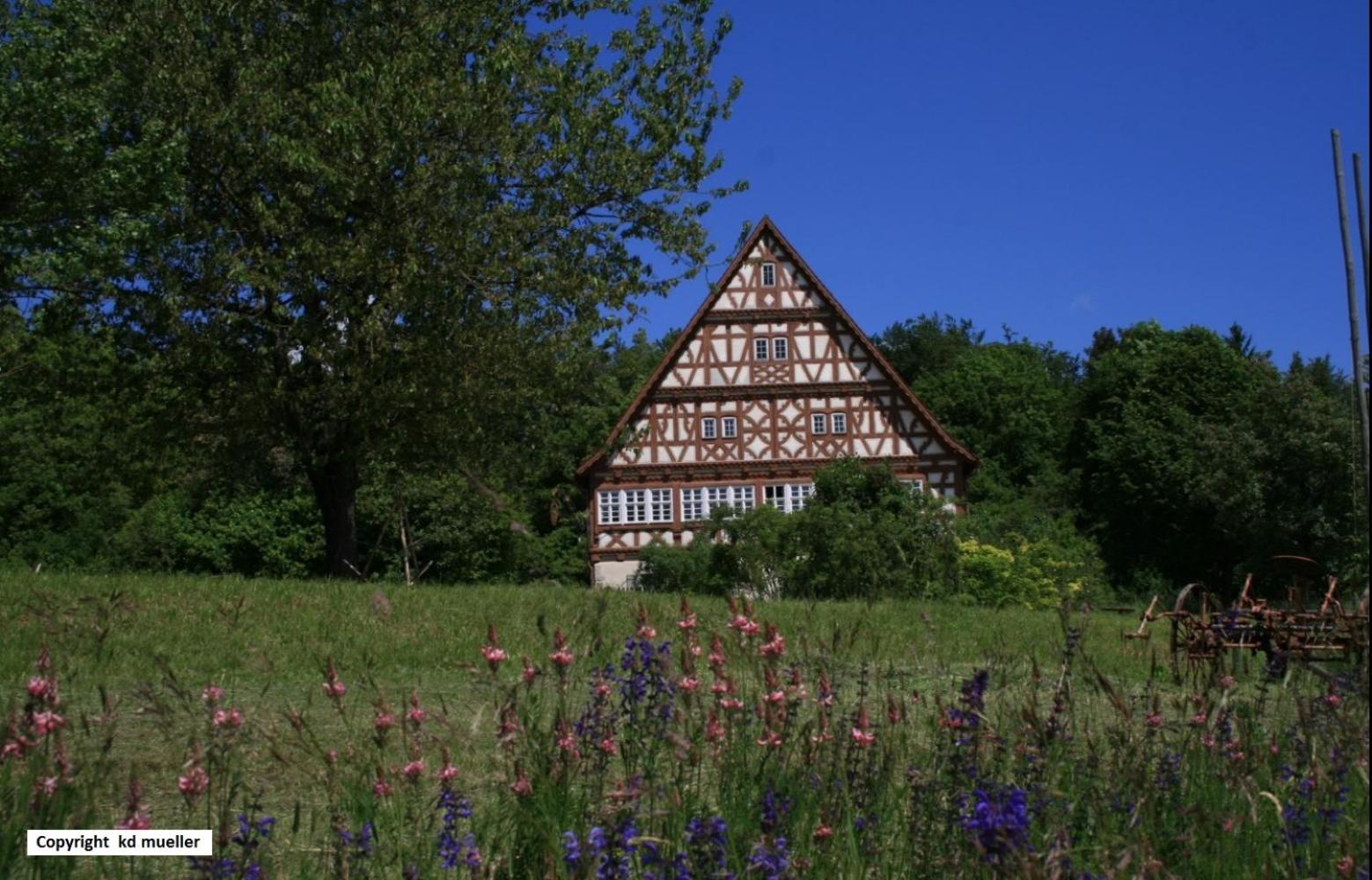 Haus am Waldrand Villa Triberg im Schwarzwald Exteriör bild