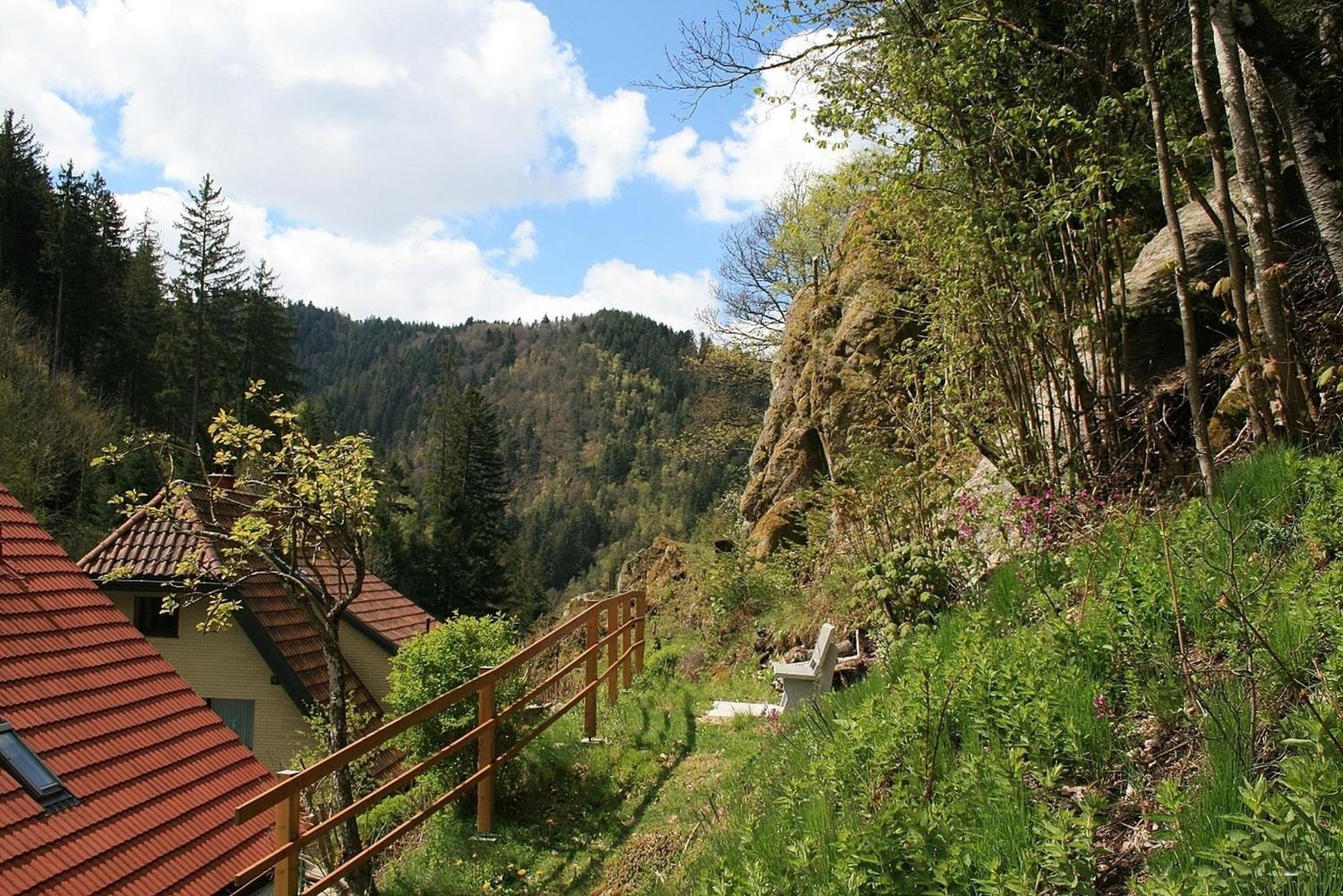 Haus am Waldrand Villa Triberg im Schwarzwald Exteriör bild