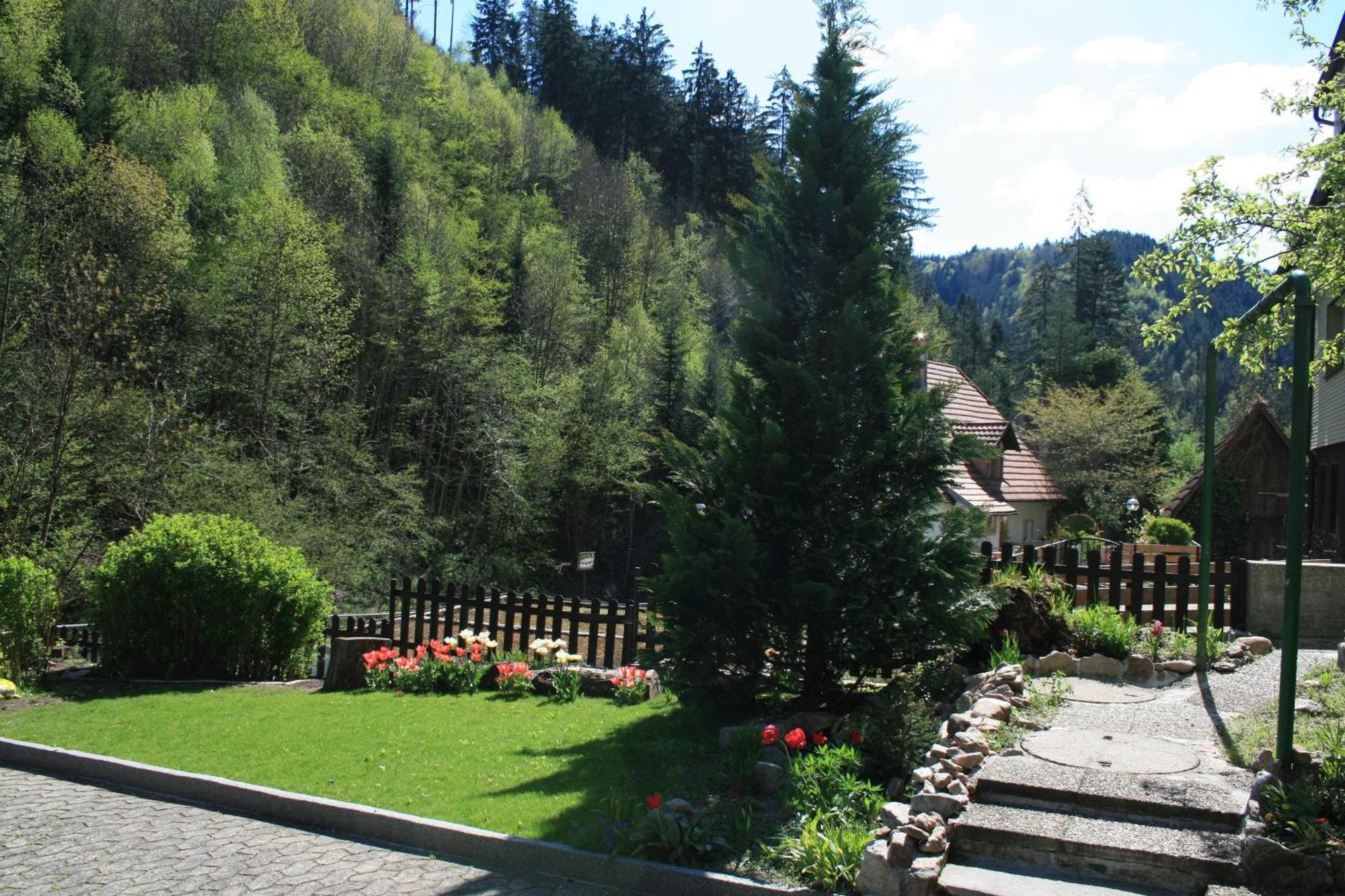 Haus am Waldrand Villa Triberg im Schwarzwald Exteriör bild